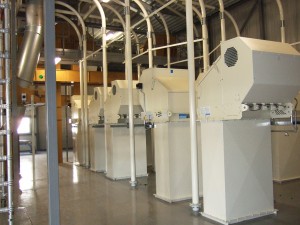 Slika 484